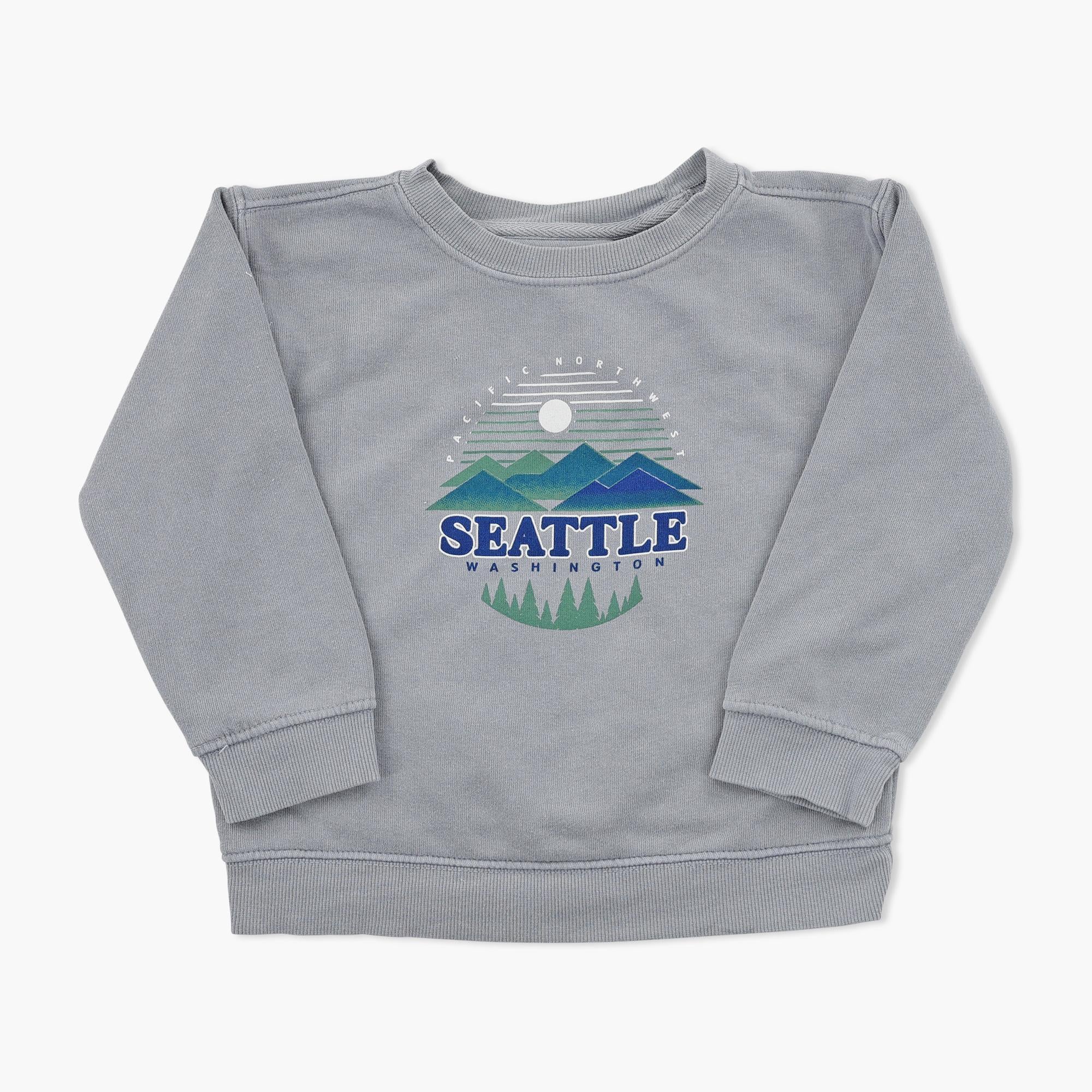 Blazefury Steel Grey Seattle Toddler Crewneck