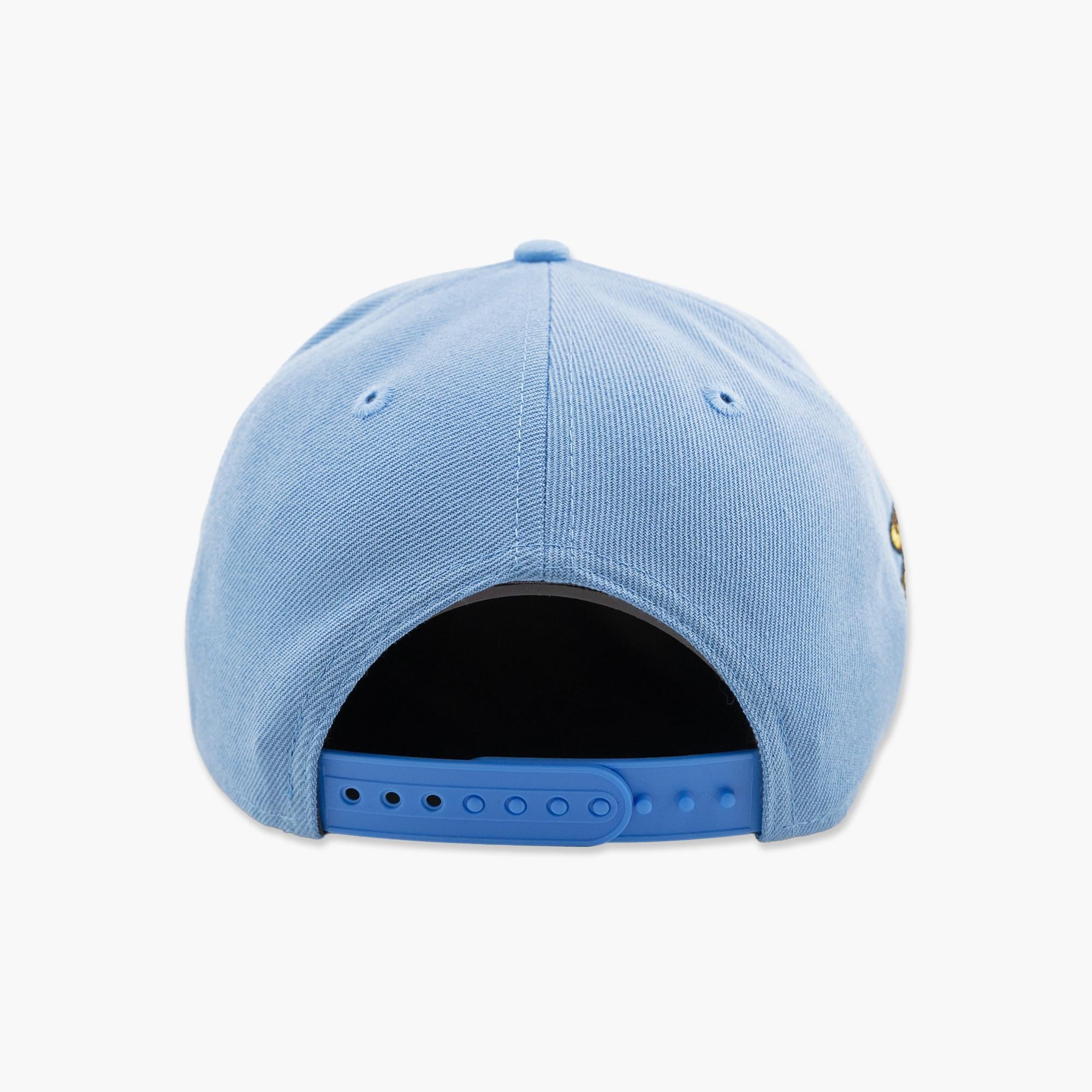 Seattle Seahawks Sky Blue Americana 250 Stretch Snapback - Image 5