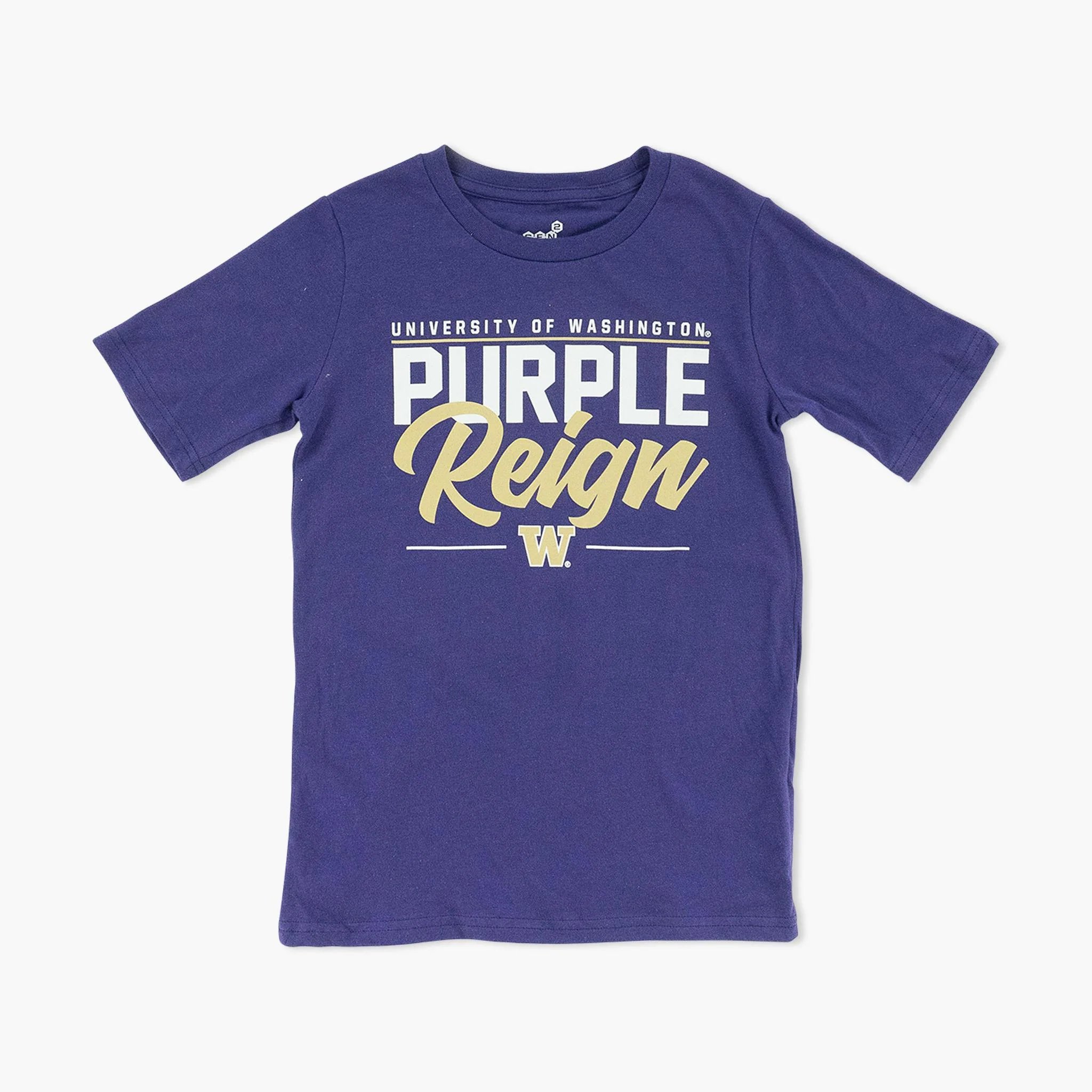 Washington Huskies Institutions Youth T-Shirt